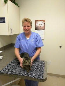 Dr. Margaret Edwards-Seal