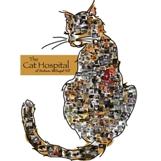 The Cat Hospital of Durham & Chapel Hill logo
